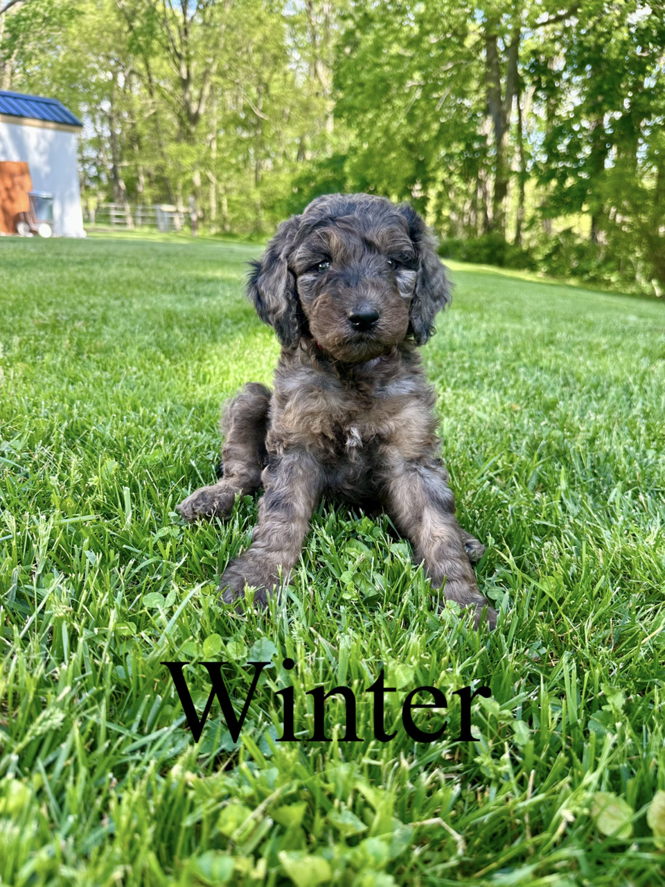 Winter 1